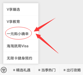 Visa信用卡，可以1元购买各类视频会员，可变现！